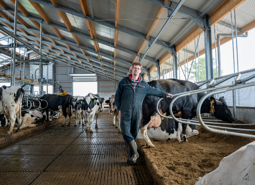 Melkveebedrijf Simmes Melkveebedrijf Simmes